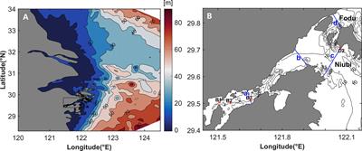 Quantifying the Contribution of Each Driving Force to the Lagrangian Residual Velocity in Xiangshan Bay